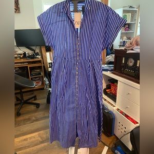 Zara Striped shirt dress
